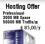 Hosting Offer -- Professional -- 3000 MB Space -- 50000 MB Traffic/m -- EUR 85,00 per year
